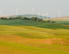 Being Lucky and Good in Palouse