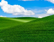 Picture Perfect Palouse